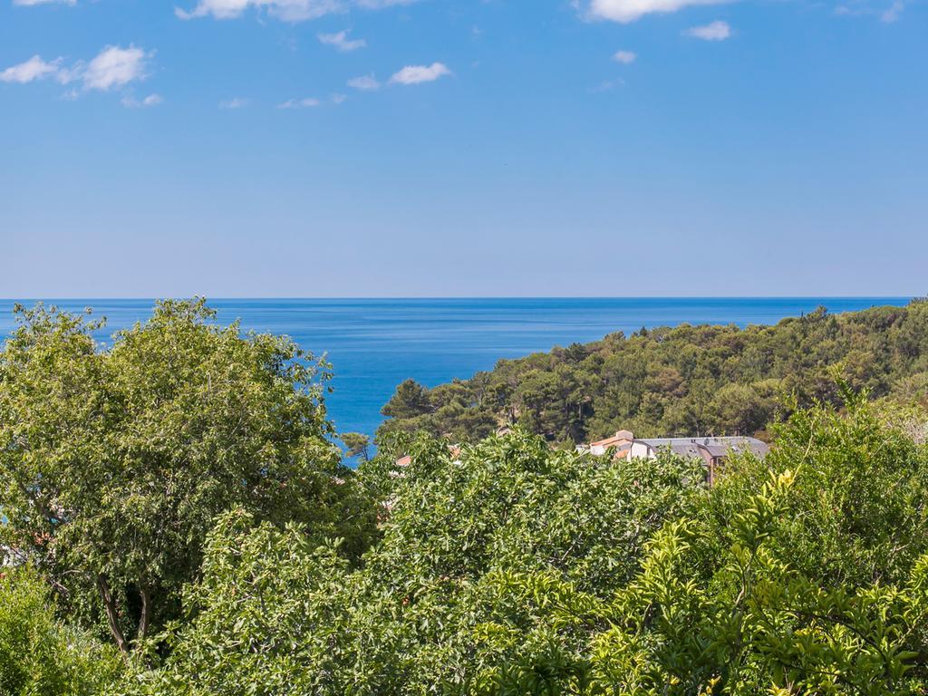 Apartments Krs Medinski Petrovac Екстер'єр фото